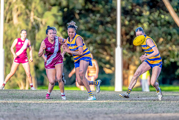 Rd 17 WPD - Manly Warringah v Sydney Uni - 16 August 2025