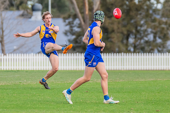 Rd 17 MPD - East Coast v St George - 17 August 2024