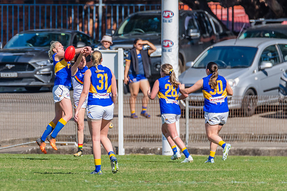 WPD Preliminary Final - East Coast v Sydney University - 21 Augu