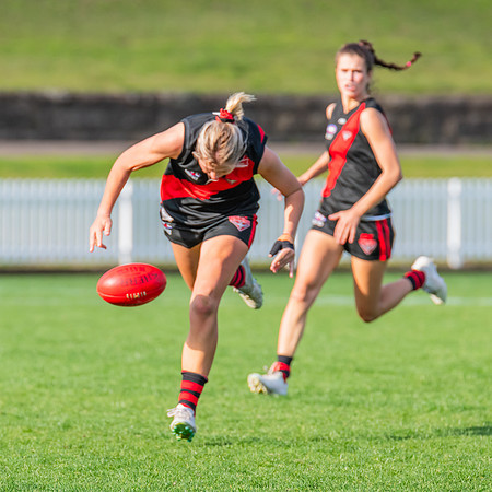 Rd 16 WPD - UNSW-ES v North Shore - 10 August 2024