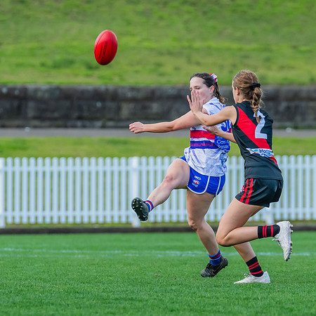 Rd 16 WPD - UNSW-ES v North Shore - 10 August 2024