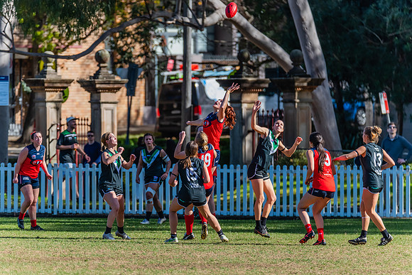 Rd 11 WPD - UTS v Pennant Hills - 25 June 2022