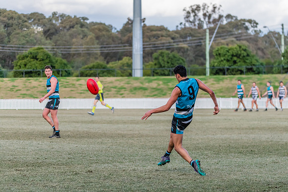 Platinum Div Preliminary Final - Southern Power v Camden Cats -