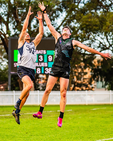 Rd 8 MPD - UTS v SWS - 31 May 2025