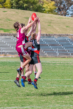 U19 Div 1 - Qualifying Final - North Shore v Manly Warringah - 2