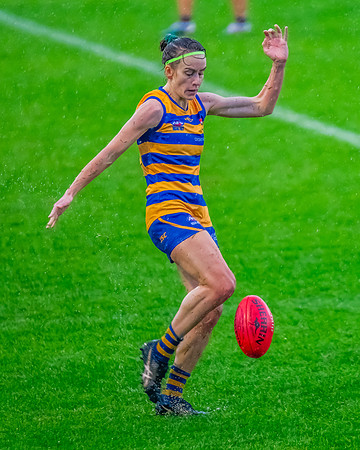 Rd 8 WPD - UNSW-ES v Sydney Uni - 1 June 2024