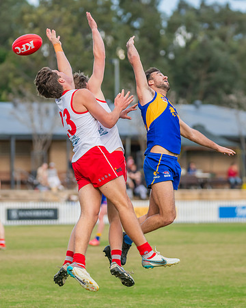 Rd 17 MPD - East Coast v St George - 17 August 2024