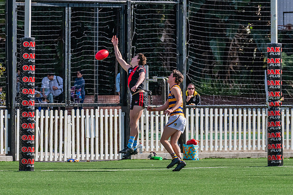 Rd 15 MPD - North Shore v Sydney Uni - 3 August 2024