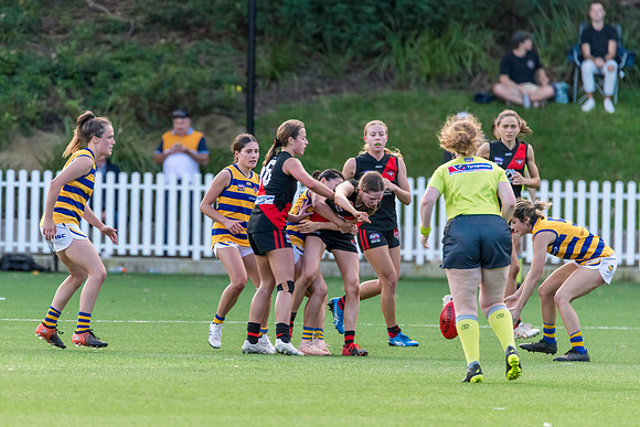 Rd 3 WPD - North Shore v Sydney Uni - 23 April 2022
