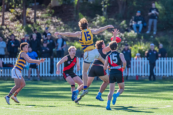 Rd 15 MPD - North Shore v Sydney Uni - 3 August 2024