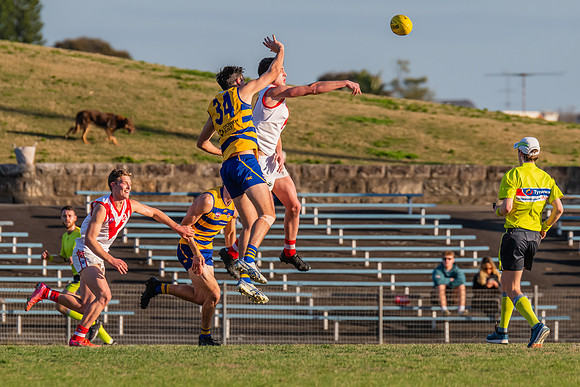 MPD Minor Semi Final - Sydney University v St George - 28 August