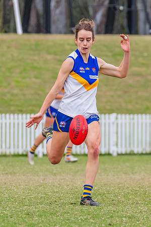 WPD Semi Final - Parramatta v Sydney Uni - 8 September 2024