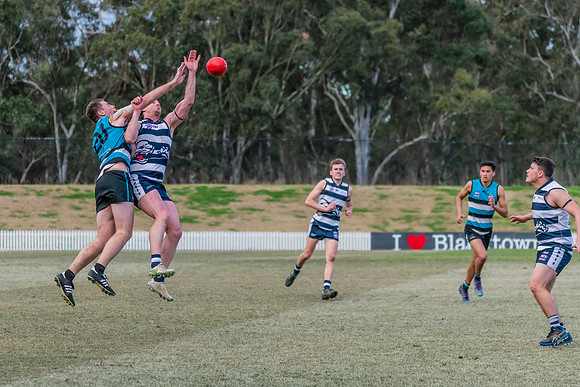 Platinum Div Preliminary Final - Southern Power v Camden Cats -