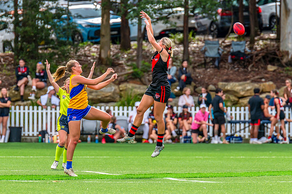 Rd 4 WPD - North Shore v East Coast - 26 April 2025