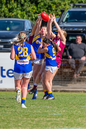 WPD Major Semi Final - East Coast v Manly Warringah - 14 August 2022