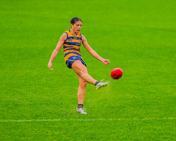 Rd 8 WPD - UNSW-ES v Sydney Uni - 1 June 2024
