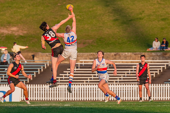 Rd 16 MPD - UNSW-ES v North Shore - 10 August 2024