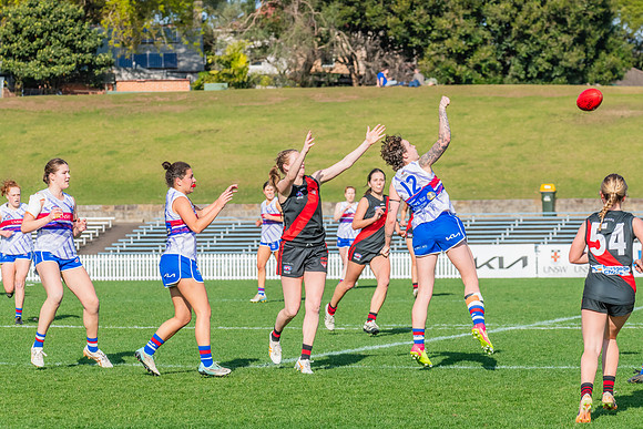 Rd 16 WPD - UNSW-ES v North Shore - 10 August 2024
