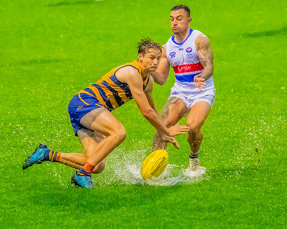 Rd 8 MPD - UNSW-ES v Sydney Uni - 1 June 2024
