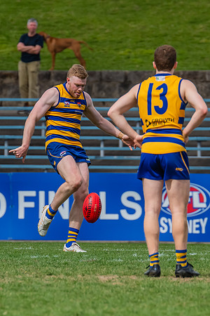 MPD Reserves Grand Final - Sydney Uni v St George - 10 September