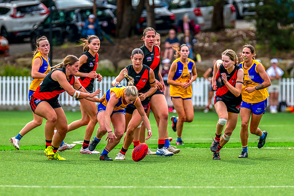 Rd 4 WPD - North Shore v East Coast - 26 April 2025