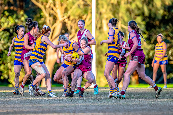 Rd 17 WPD - Manly Warringah v Sydney Uni - 16 August 2025