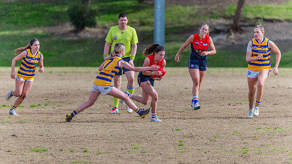 Rd 14 WPD - Pennant Hills v Sydney Uni - 16 July 2022