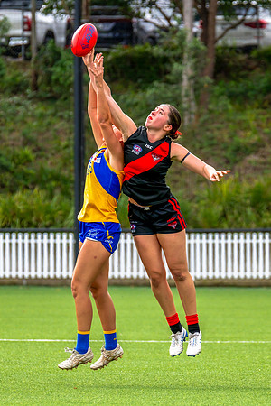 Rd 4 WPD - North Shore v East Coast - 26 April 2025