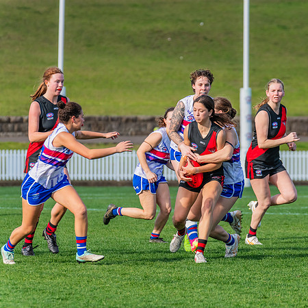 Rd 16 WPD - UNSW-ES v North Shore - 10 August 2024