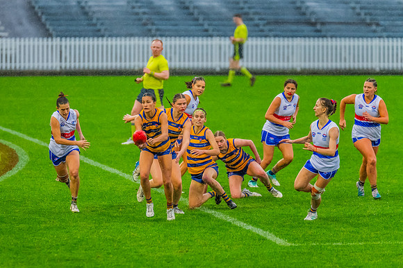 Rd 8 WPD - UNSW-ES v Sydney Uni - 1 June 2024