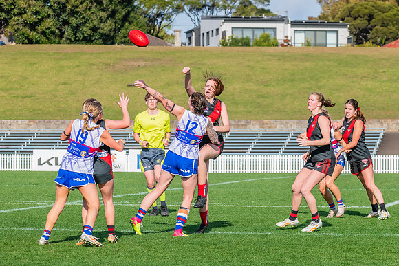 Rd 16 WPD - UNSW-ES v North Shore - 10 August 2024