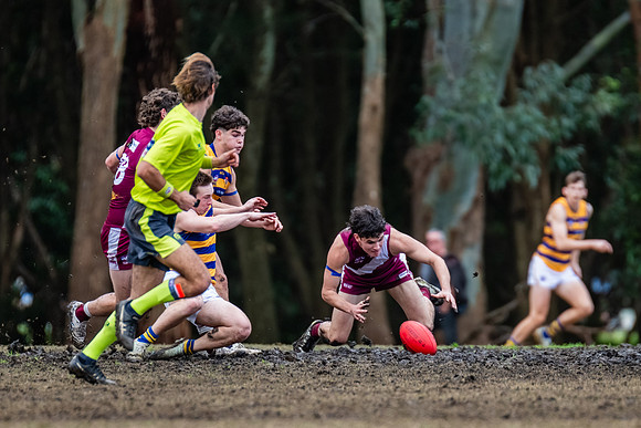 Rd 17 MPD - Manly Warringah v Sydney Uni - 16 August 2025