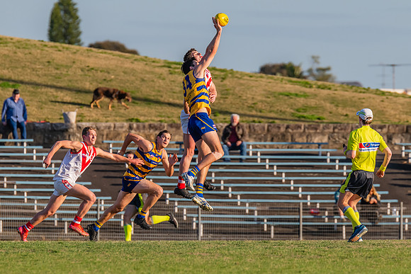 MPD Minor Semi Final - Sydney University v St George - 28 August