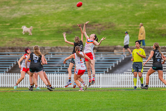Rd 8 Women's Div 1 - Newtown v UTS - 2 June 2024