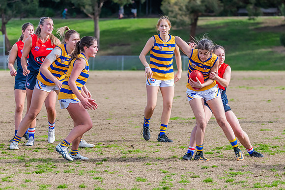 Rd 14 WPD - Pennant Hills v Sydney Uni - 16 July 2022