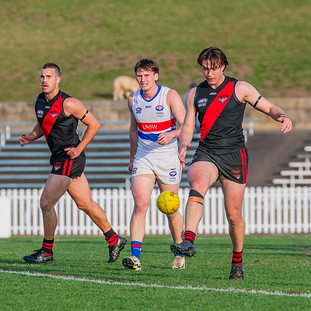 Rd 16 MPD - UNSW-ES v North Shore - 10 August 2024