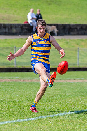 MPD Reserves Major Semi Final - Sydney University v North Shore