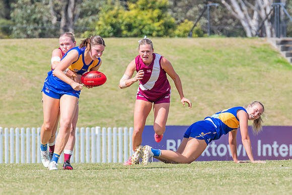 WPD Qualifying Final 2 - East Coast v Manly Warringah - 7 Septem
