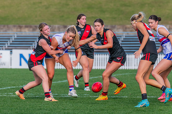 Rd 16 WPD - UNSW-ES v North Shore - 10 August 2024