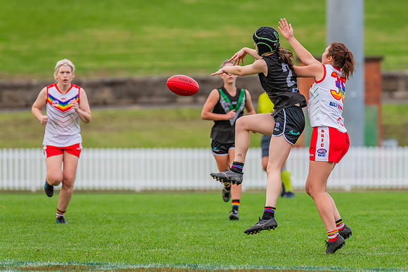 Rd 8 Women's Div 1 - Newtown v UTS - 2 June 2024