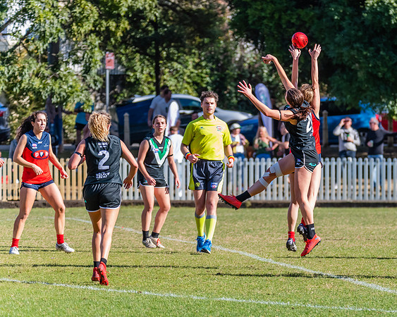 Rd 11 WPD - UTS v Pennant Hills - 25 June 2022