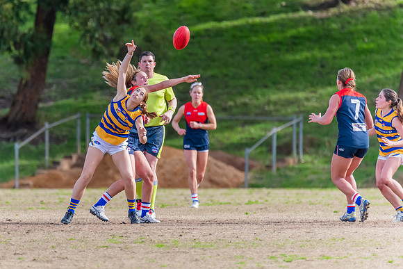 Rd 14 WPD - Pennant Hills v Sydney Uni - 16 July 2022