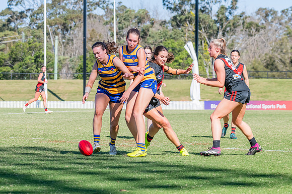 WPD Elimination Final - North Shore v Sydney Uni - 1 September 2