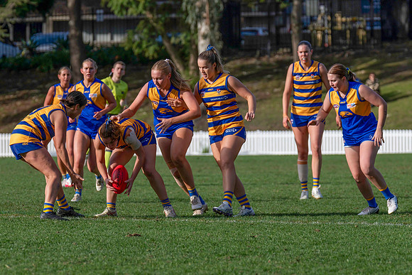Rd 12 WPD - Sydney Uni v East Coast - 5 July 2025