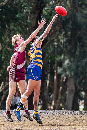Rd 17 U19s Div 1 - Manly Warringah v Sydney Uni - 16 August 2025