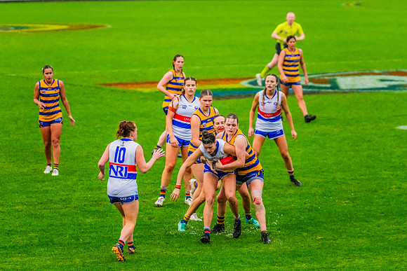 Rd 8 WPD - UNSW-ES v Sydney Uni - 1 June 2024
