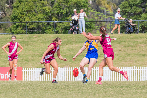 WPD Qualifying Final 2 - East Coast v Manly Warringah - 7 Septem