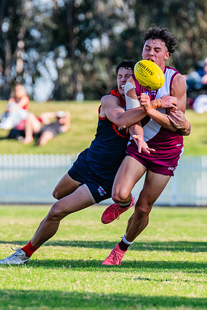 MPD Preliminary Final - Pennant Hills v Manly-Warringah - 14 Sep