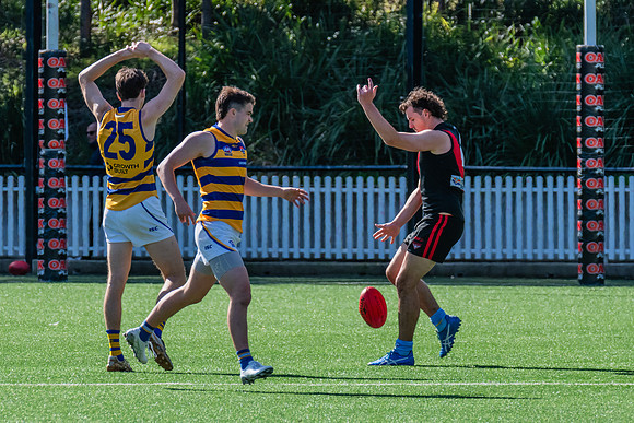 Rd 15 MPD - North Shore v Sydney Uni - 3 August 2024