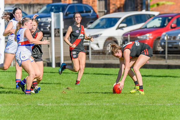 Rd 6 WPD - UNSW ES v North Shore - 14 May 2022